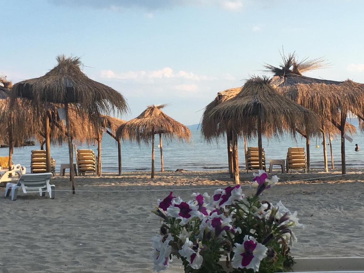 帕莫瑞Flora Beach Private公寓式酒店 外观 照片